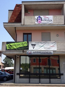 Prodocimi Music Academy
